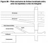 figura 2