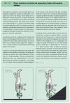 figura 8