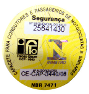 Legislacao_de_transito-fig16